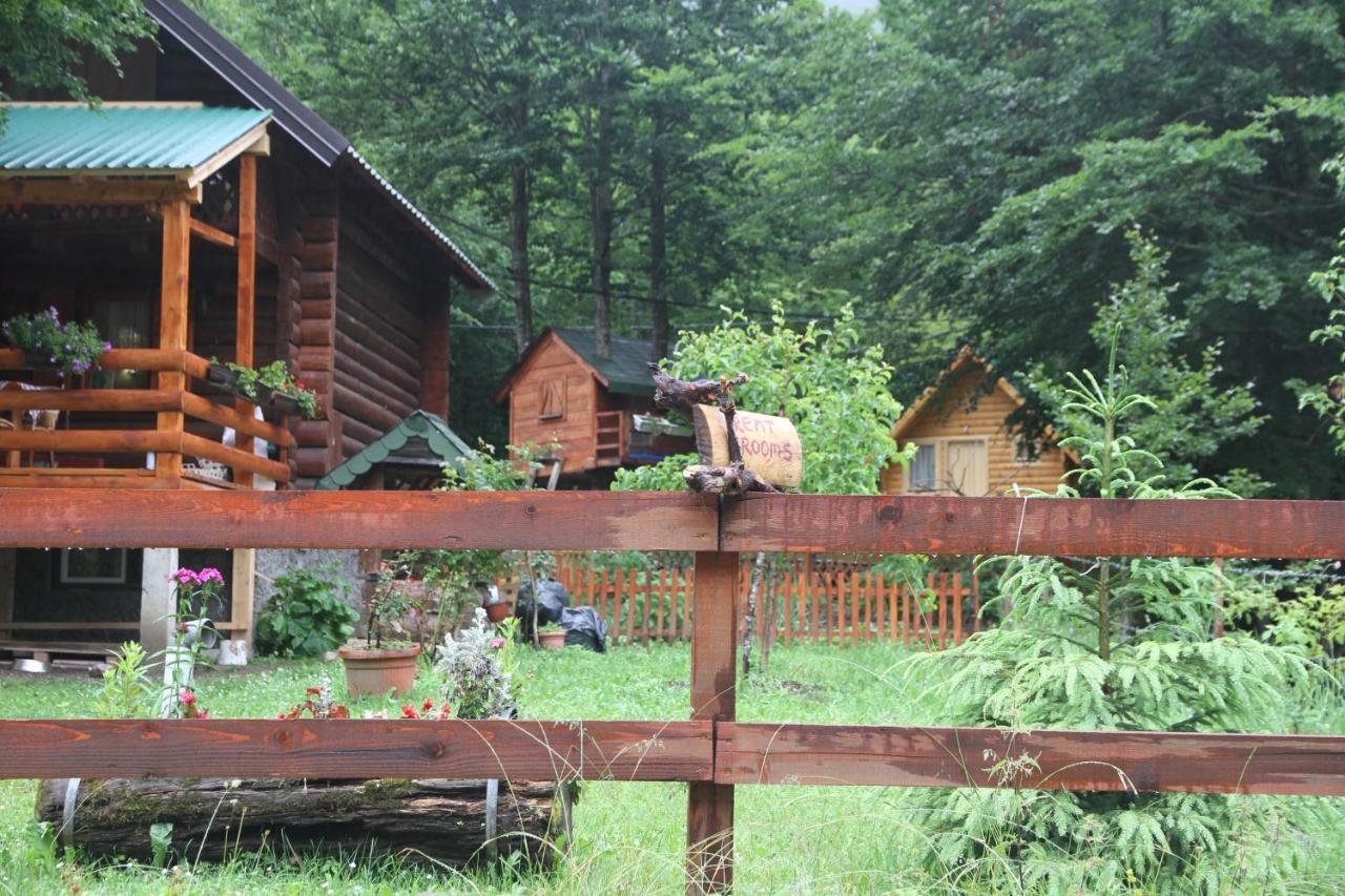 Bungalows Prokletije Gusinje Bagian luar foto