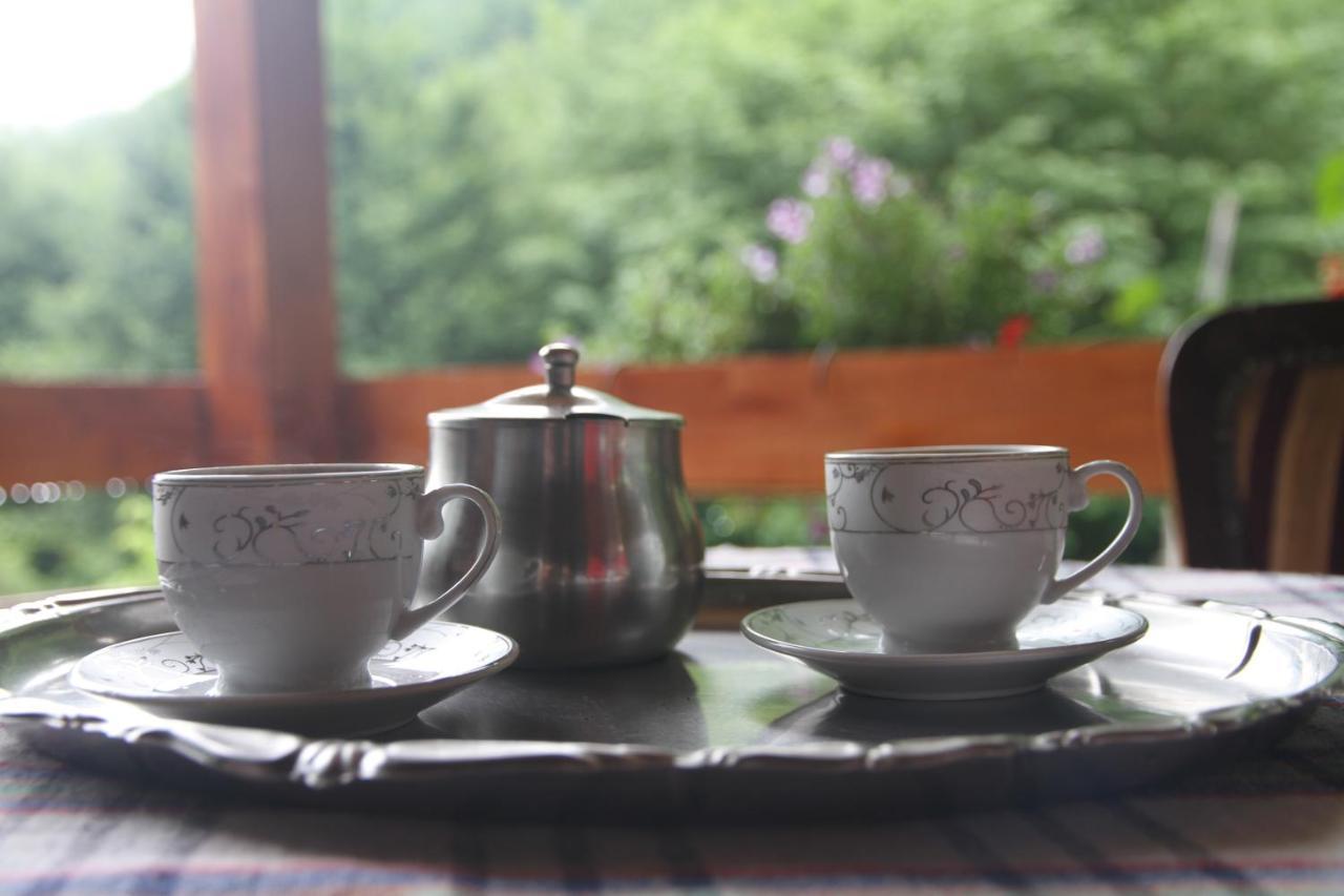 Bungalows Prokletije Gusinje Bagian luar foto